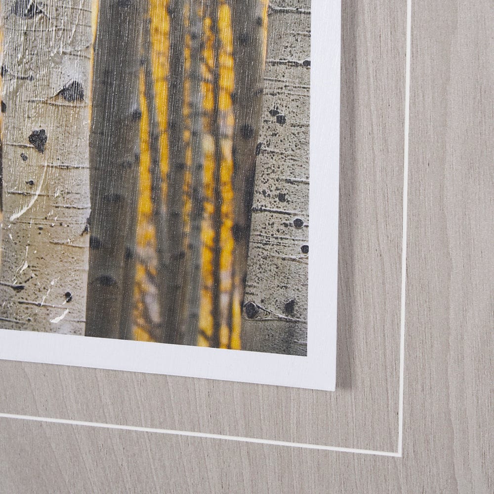 Mercana - Aspen Trees 3 by Jamie Cook a Hand Embelished Textured Framed Art Print Matted under Glass - 12962 view 6