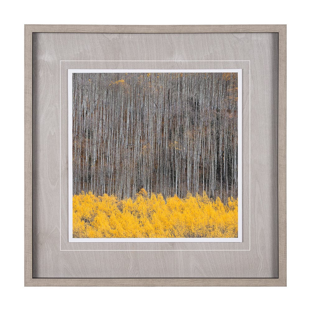 Mercana - Aspen Trees 4 by Jamie Cook a Hand Embelished Textured Framed Art Print Matted under Glass - 12961 view 1