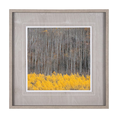 Mercana - Aspen Trees 4 by Jamie Cook a Hand Embelished Textured Framed Art Print Matted under Glass - 12961 view 1