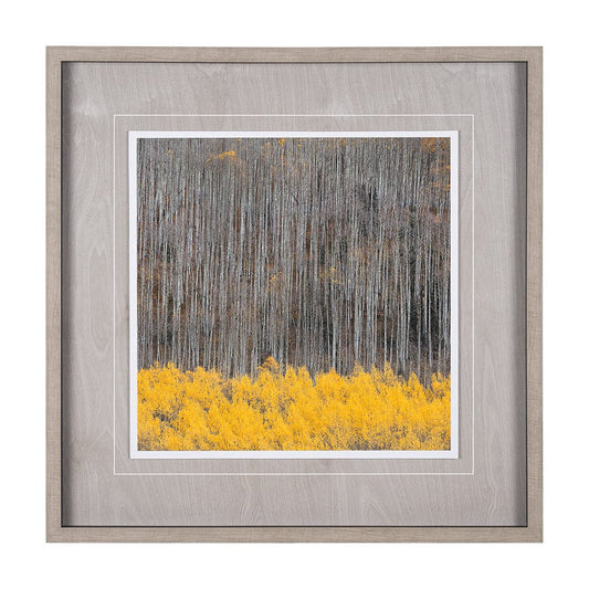 Mercana - Aspen Trees 4 by Jamie Cook a Hand Embelished Textured Framed Art Print Matted under Glass - 12961 view 1