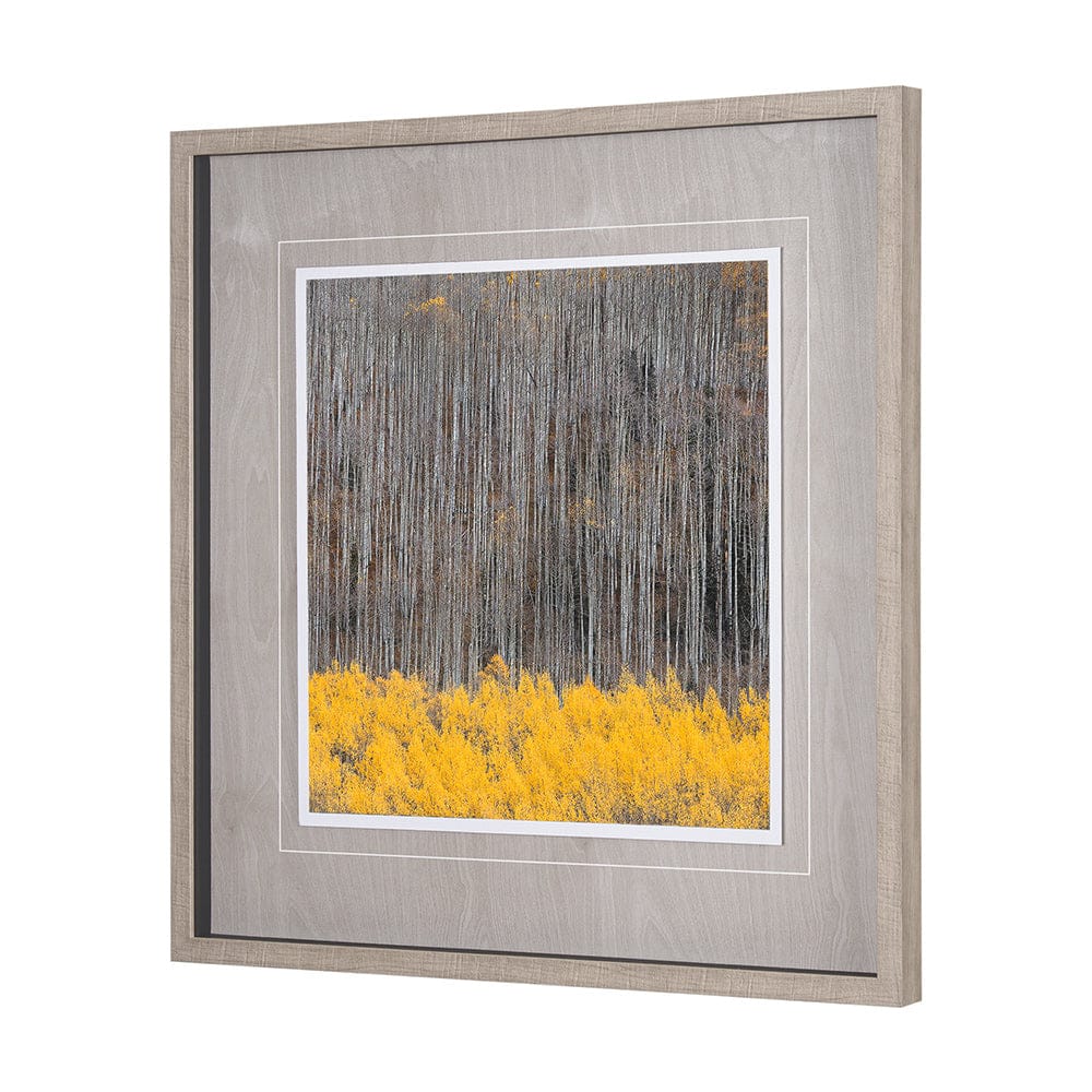 Mercana - Aspen Trees 4 by Jamie Cook a Hand Embelished Textured Framed Art Print Matted under Glass - 12961 view 2