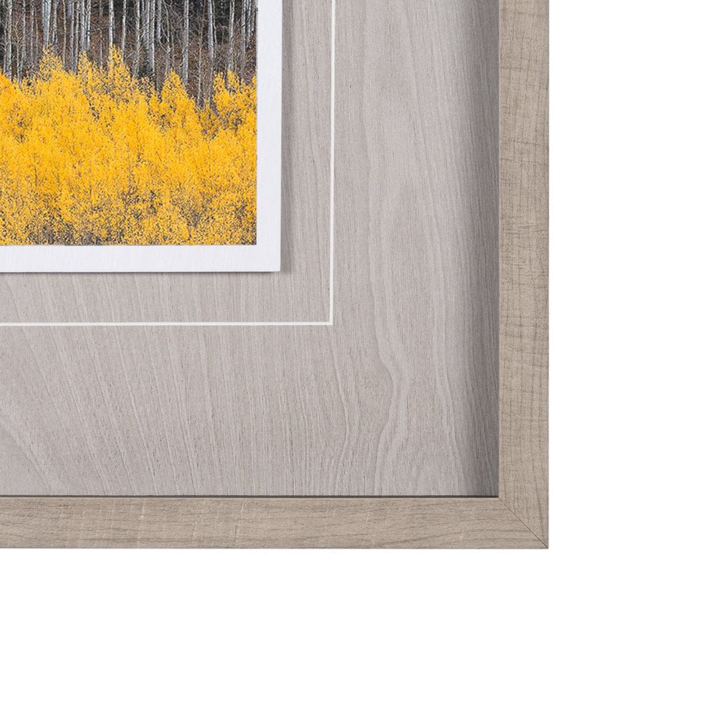 Mercana - Aspen Trees 4 by Jamie Cook a Hand Embelished Textured Framed Art Print Matted under Glass - 12961 view 3