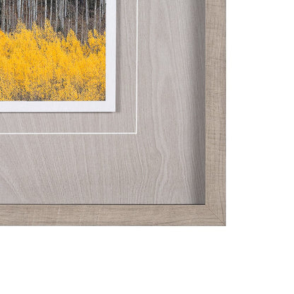Mercana - Aspen Trees 4 by Jamie Cook a Hand Embelished Textured Framed Art Print Matted under Glass - 12961 view 3