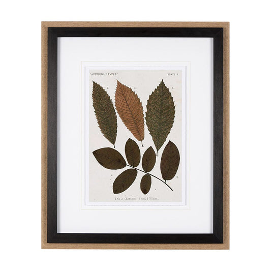Mercana - Autumnal Leaves I by Vision Studio a Framed Art Print Matted under Glass - 10680 view 1