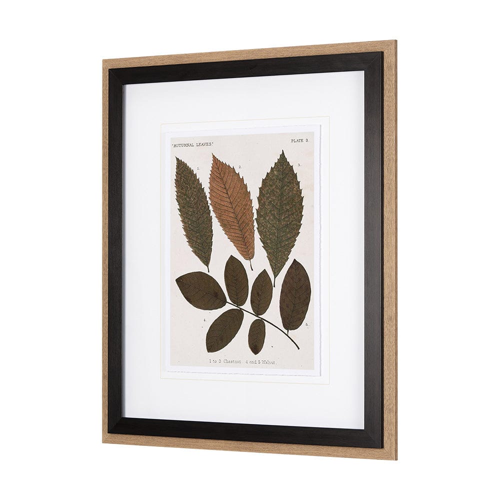 Mercana - Autumnal Leaves I by Vision Studio a Framed Art Print Matted under Glass - 10680 view 2