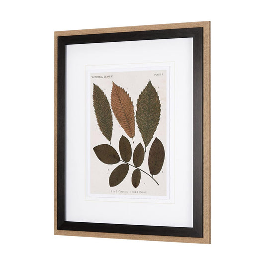 Mercana - Autumnal Leaves I by Vision Studio a Framed Art Print Matted under Glass - 10680 view 2