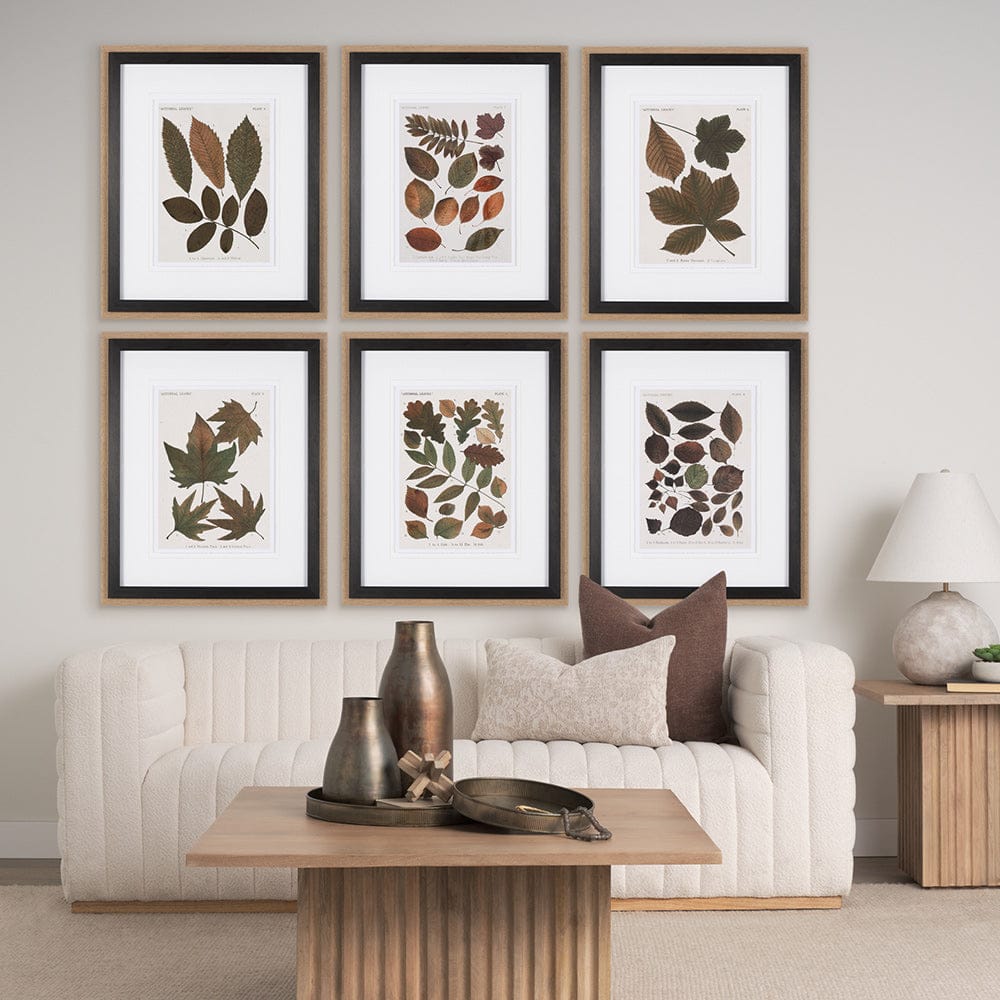 Mercana - Autumnal Leaves I by Vision Studio a Framed Art Print Matted under Glass - 10680 view 4