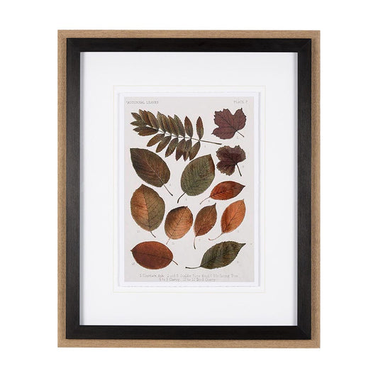 Mercana - Autumnal Leaves II by Vision Studio a Framed Art Print Matted under Glass - 10681 view 1