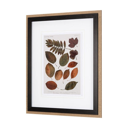Mercana - Autumnal Leaves II by Vision Studio a Framed Art Print Matted under Glass - 10681 view 2