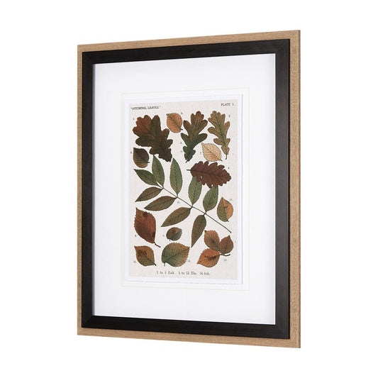 Mercana - Autumnal Leaves V by Vision Studio a Framed Art Print Matted under Glass - 10684 view 2
