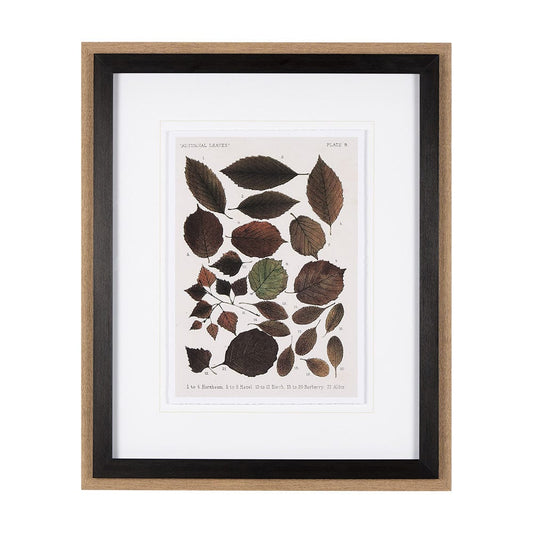 Mercana - Autumnal Leaves VI by Vision Studio a Framed Art Print Matted under Glass - 10685 view 1