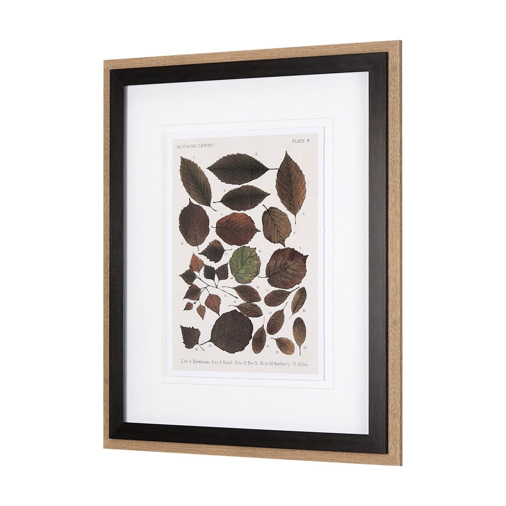 Mercana - Autumnal Leaves VI by Vision Studio a Framed Art Print Matted under Glass - 10685 view 2
