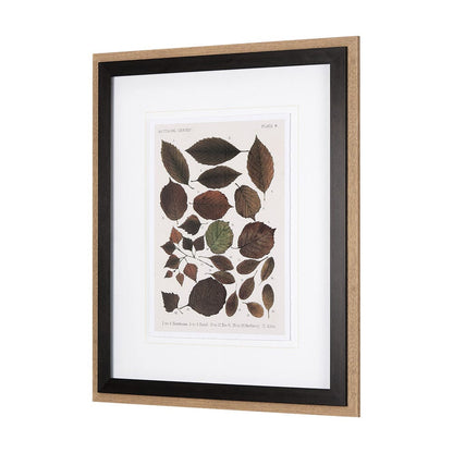 Mercana - Autumnal Leaves VI by Vision Studio a Framed Art Print Matted under Glass - 10685 view 2