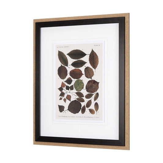 Mercana - Autumnal Leaves VI by Vision Studio a Framed Art Print Matted under Glass - 10685 view 2