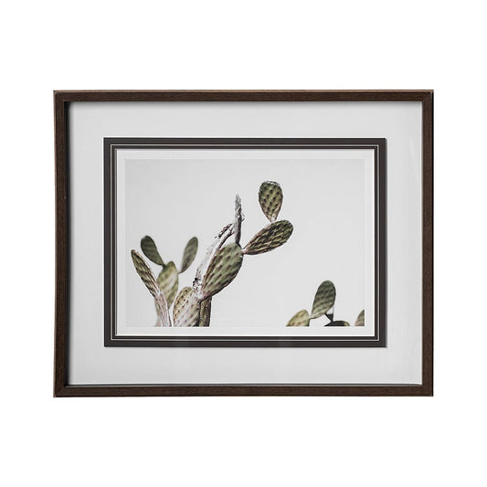 Mercana - AZ Botanical 37 by Dunker a Framed Art Print Matted under Glass - 12673 view 1