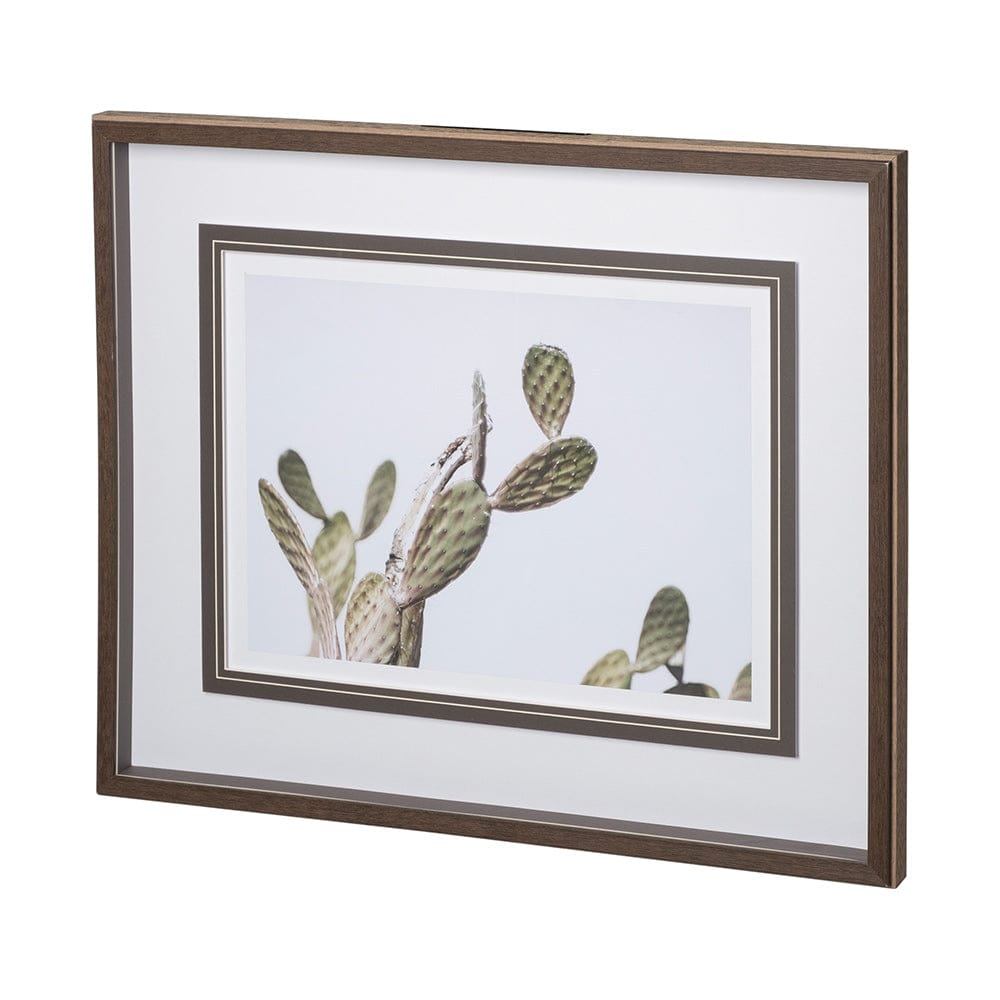 Mercana - AZ Botanical 37 by Dunker a Framed Art Print Matted under Glass - 12673 view 2
