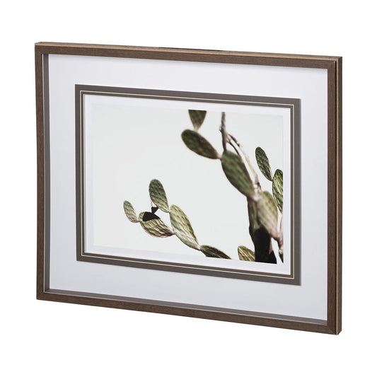 Mercana - AZ Botanical 38 by Dunker a Framed Art Print Matted under Glass - 12674 view 1