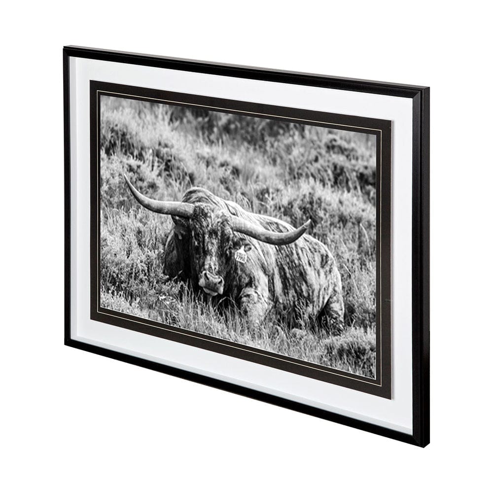 Mercana - B&W Longhorn III by Tyler Stockton a Framed Art Print Matted under Glass - 12120 view 1