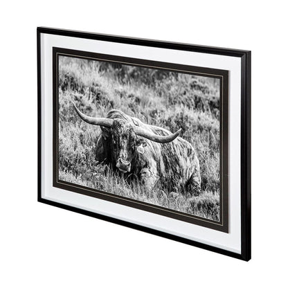 Mercana - B&W Longhorn III by Tyler Stockton a Framed Art Print Matted under Glass - 12120 view 1