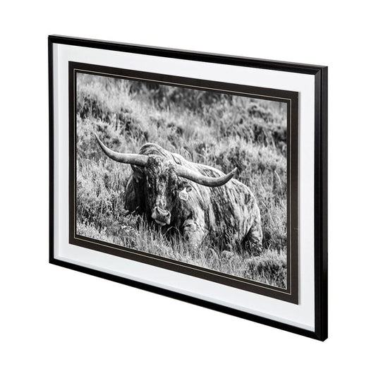 Mercana - B&W Longhorn III by Tyler Stockton a Framed Art Print Matted under Glass - 12120 view 1