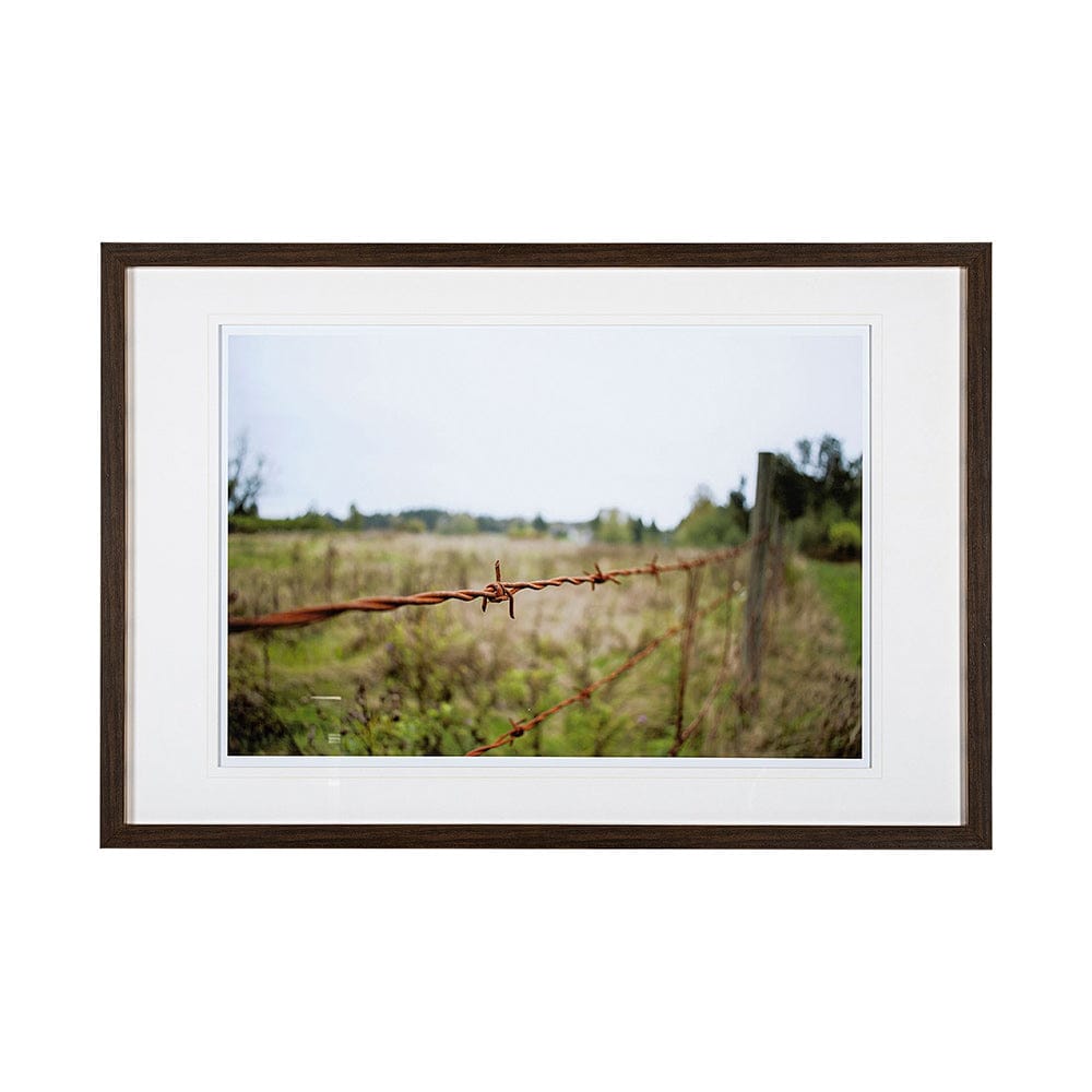 Mercana - Barbed Wire by Katelyn Mostert a Framed Art Print Matted under Glass - 13421 view 1