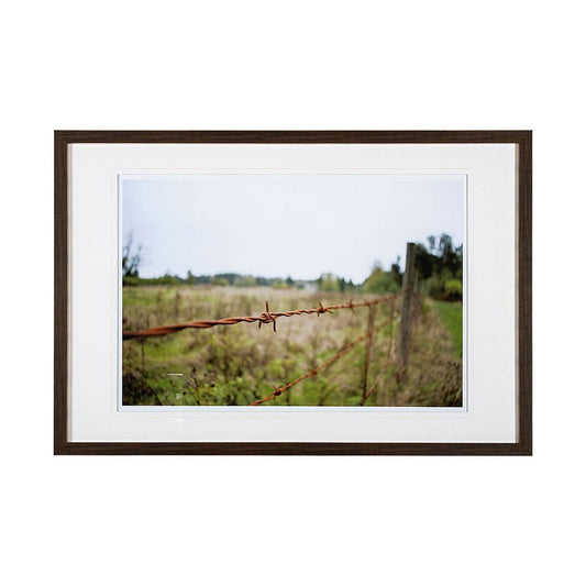 Mercana - Barbed Wire by Katelyn Mostert a Framed Art Print Matted under Glass - 13421 view 1