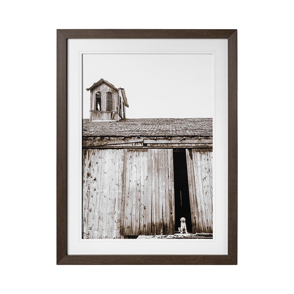 Mercana - Barnyard Dog v2 by Mercana Studio a Framed Art Print Matted under Glass - 12711 view 1
