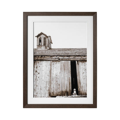 Mercana - Barnyard Dog v2 by Mercana Studio a Framed Art Print Matted under Glass - 12711 view 1
