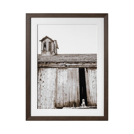Mercana - Barnyard Dog v2 by Mercana Studio a Framed Art Print Matted under Glass - 12711 view 1