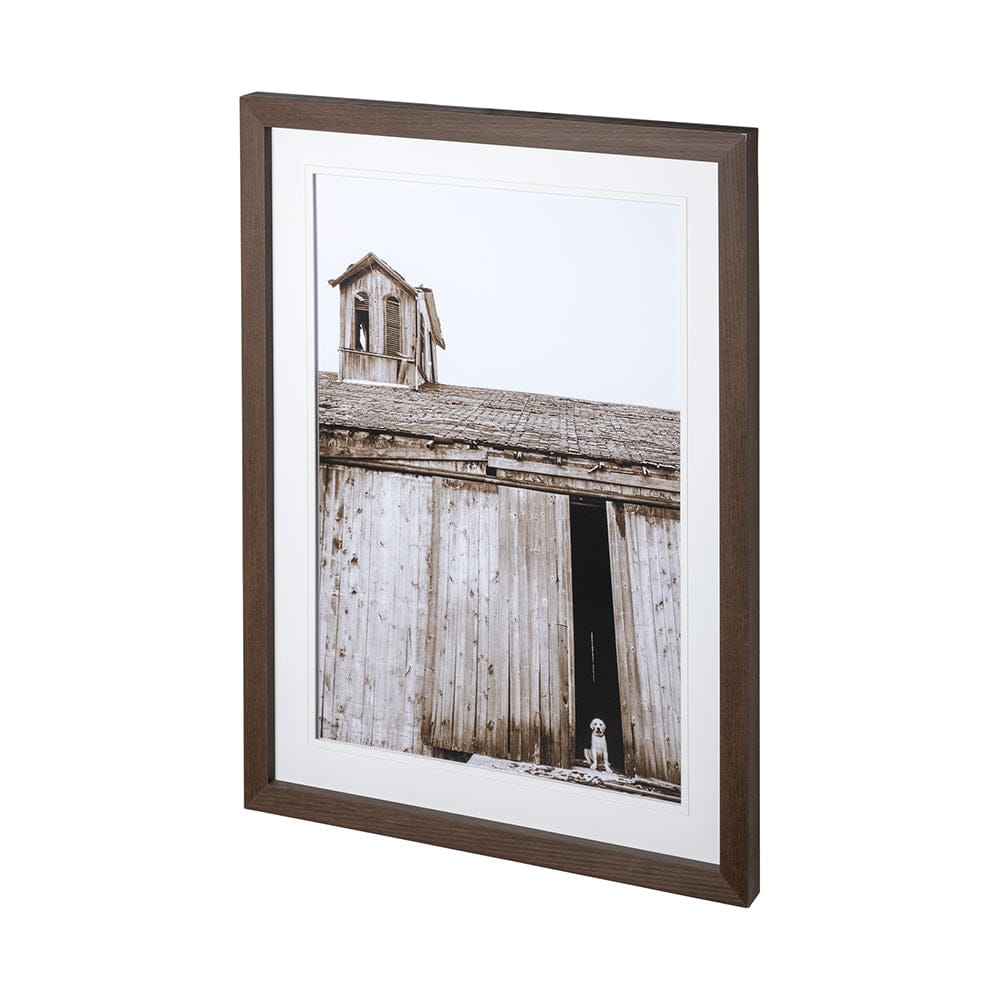 Mercana - Barnyard Dog v2 by Mercana Studio a Framed Art Print Matted under Glass - 12711 view 3