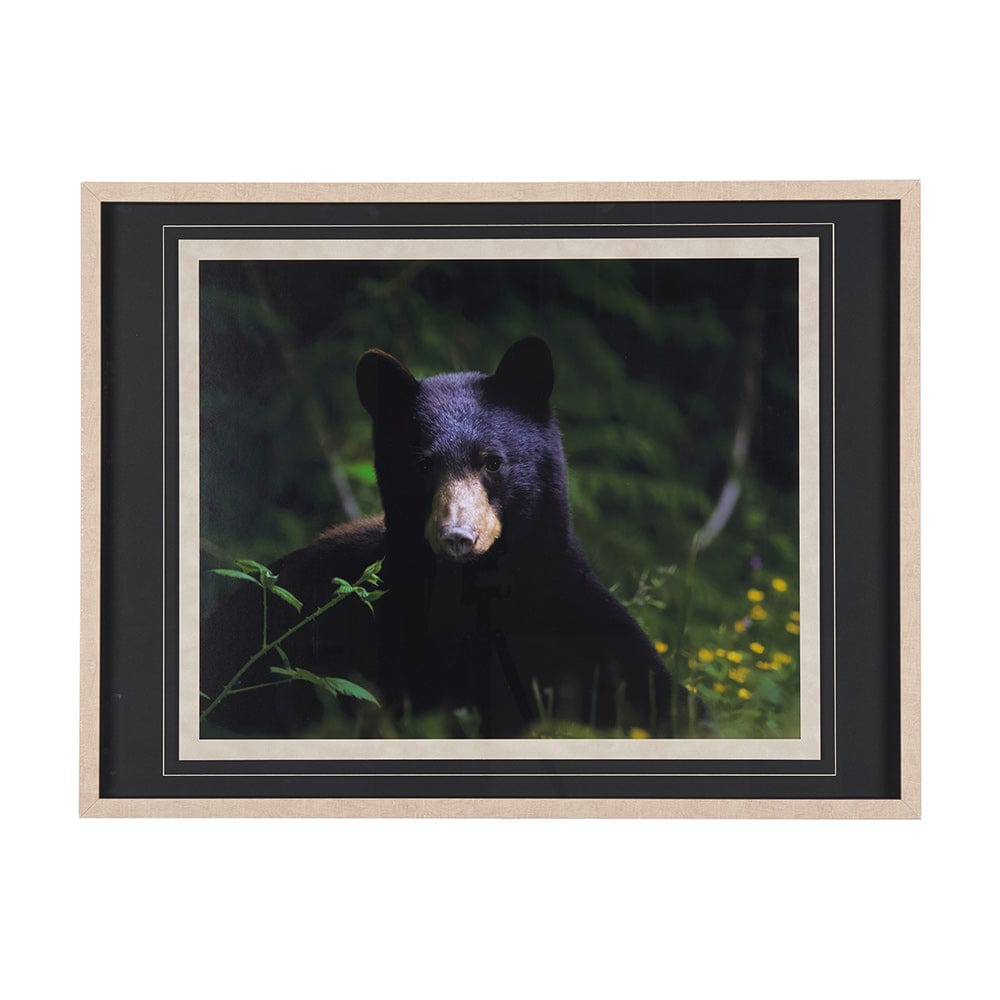 Mercana - Bear by Chad Mackay a Framed Art Print Matted under Glass - 14371 view 1