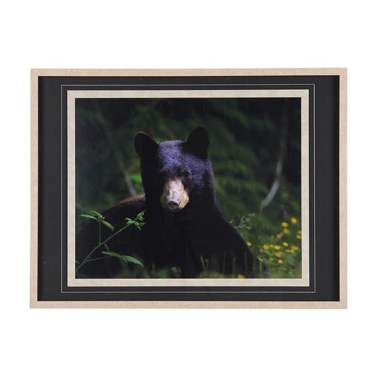 Mercana - Bear by Chad Mackay a Framed Art Print Matted under Glass - 14371 view 1