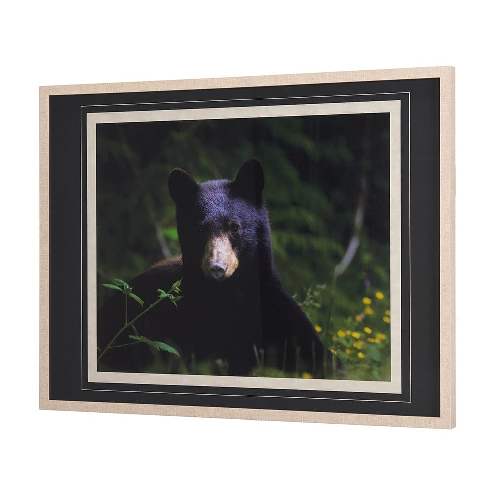 Mercana - Bear by Chad Mackay a Framed Art Print Matted under Glass - 14371 view 2