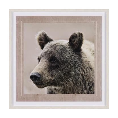 Mercana - Bear Focus - Hush by Wink Gaines a Hand Embelished Textured Framed Art Photo Matted under Glass - 12648 view 1