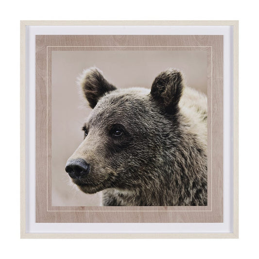 Mercana - Bear Focus - Hush by Wink Gaines a Hand Embelished Textured Framed Art Photo Matted under Glass - 12648 view 1