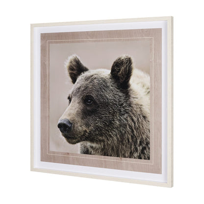 Mercana - Bear Focus - Hush by Wink Gaines a Hand Embelished Textured Framed Art Photo Matted under Glass - 12648 view 2