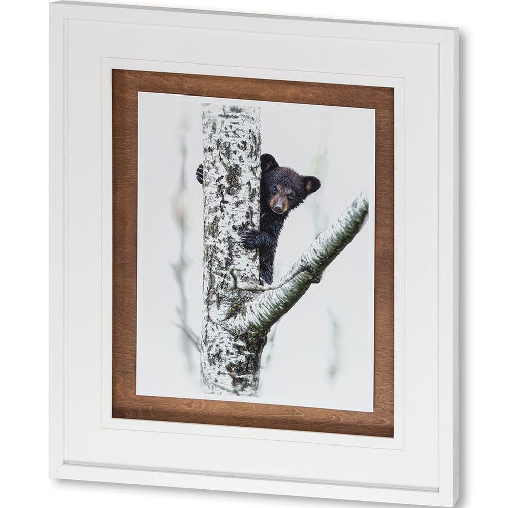 Mercana - Bears at Play V by PHBurchett a Framed Art Print Matted under Glass - 9746 view 1