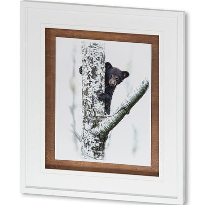 Mercana - Bears at Play V by PHBurchett a Framed Art Print Matted under Glass - 9746 view 1
