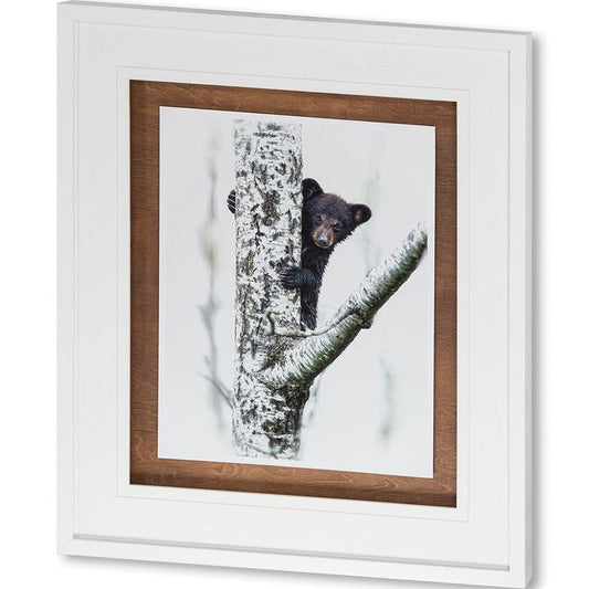 Mercana - Bears at Play V by PHBurchett a Framed Art Print Matted under Glass - 9746 view 1