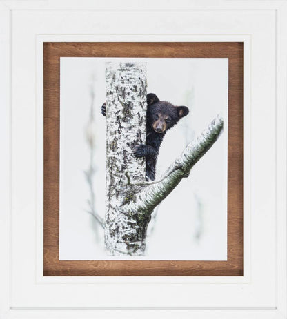 Mercana - Bears at Play V by PHBurchett a Framed Art Print Matted under Glass - 9746 view 2