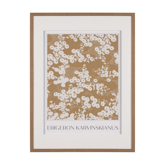 Mercana - Belleza En Flores II by Mercana Studio a Framed Art Print Matted under Glass - 15761 view 1