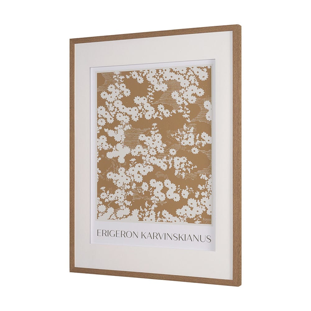 Mercana - Belleza En Flores II by Mercana Studio a Framed Art Print Matted under Glass - 15761 view 2