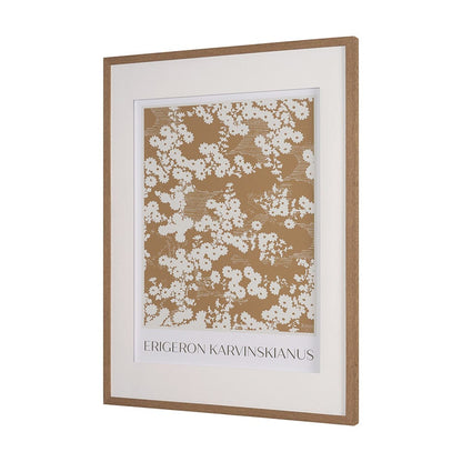 Mercana - Belleza En Flores II by Mercana Studio a Framed Art Print Matted under Glass - 15761 view 2