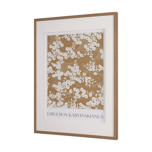 Mercana - Belleza En Flores II by Mercana Studio a Framed Art Print Matted under Glass - 15761 view 2