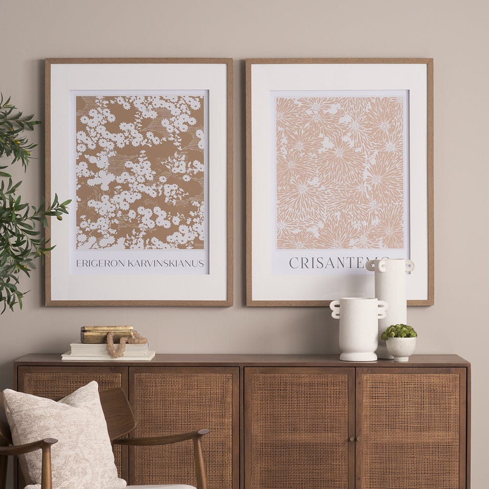 Mercana - Belleza En Flores II by Mercana Studio a Framed Art Print Matted under Glass - 15761 view 9