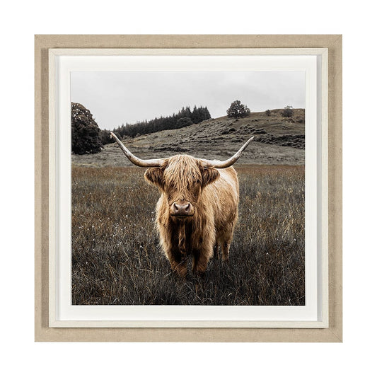 Mercana - Bernie by Assaf Frank a Framed Art Print Matted under Glass - 13416 view 1