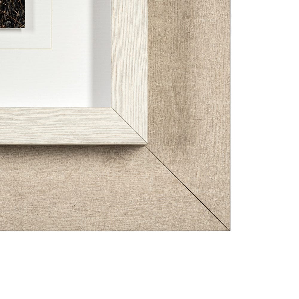 Mercana - Bernie by Assaf Frank a Framed Art Print Matted under Glass - 13416 view 3
