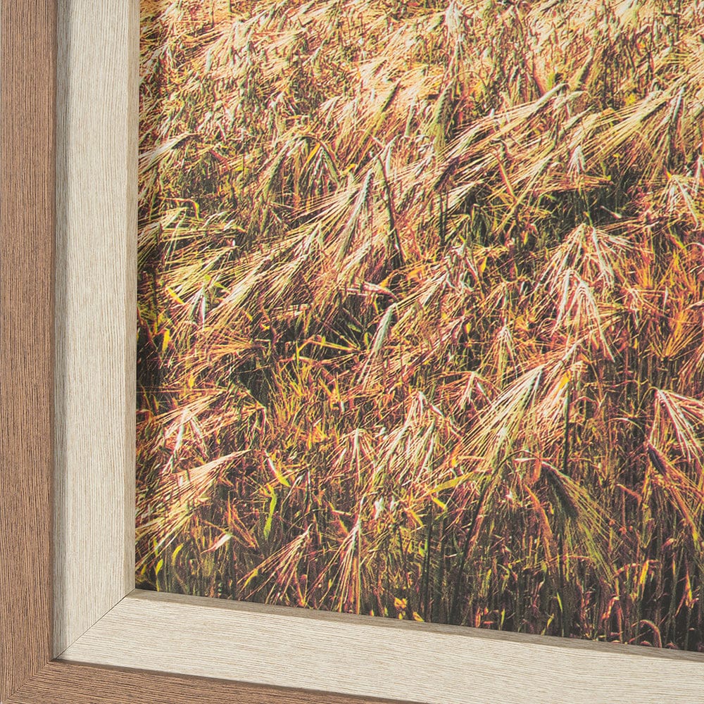 Mercana - Between The Fields by Matt Roseveare a Hand Embellished Textured Framed Art Print Matted under Glass - 15319 view 5