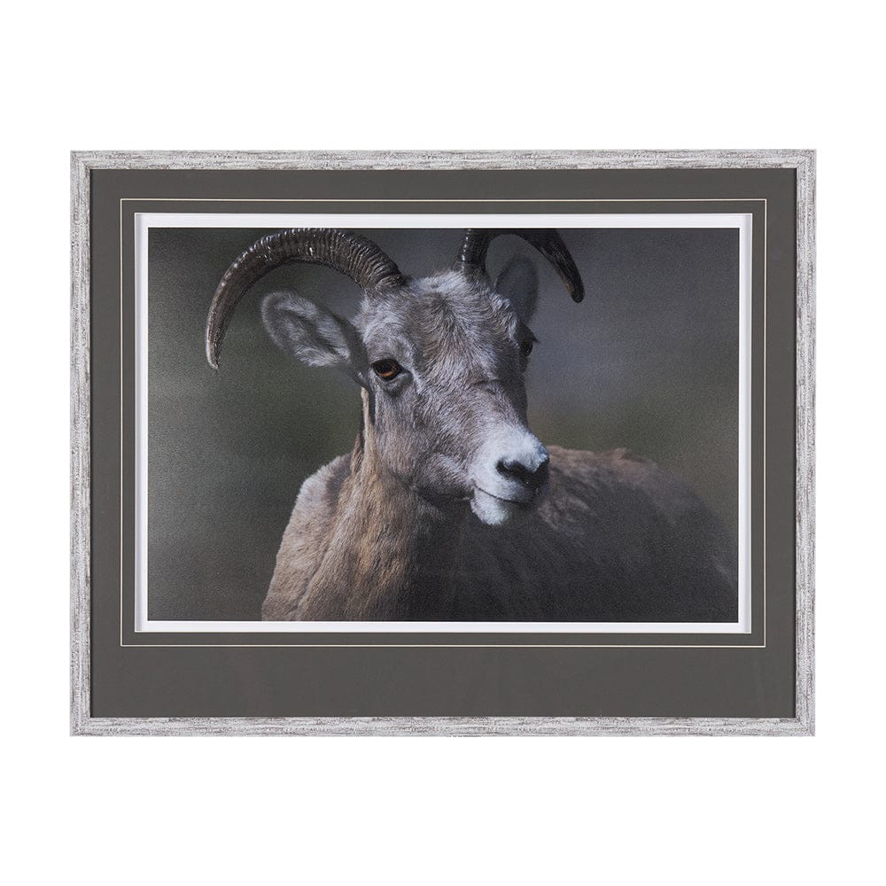 Mercana - Big Horn Sheep by Chad Mackay a Hand Embellished Textured Framed Art Print Matted under Glass - 14364 view 1
