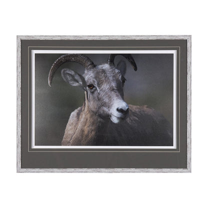 Mercana - Big Horn Sheep by Chad Mackay a Hand Embellished Textured Framed Art Print Matted under Glass - 14364 view 1
